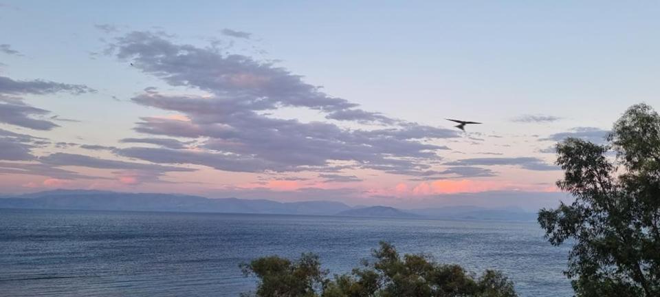 Aparthotel Ionian Mare Agios Ioannis Peristeron (Corfu)